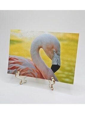 4x6 Flamingo Resting Oil Painting Art‎ Print
